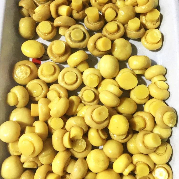 Salted Champignon Mushroom