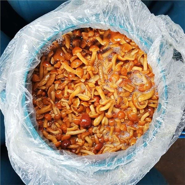 Гљива Шимеји у саламури