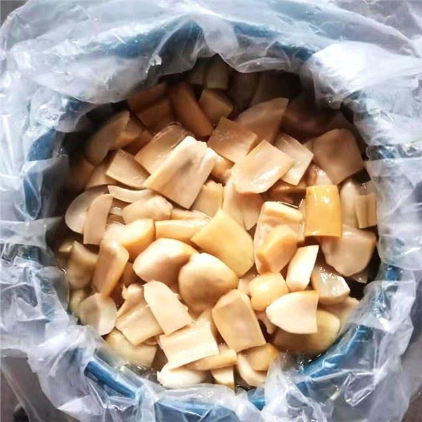 Строфарија у саламури